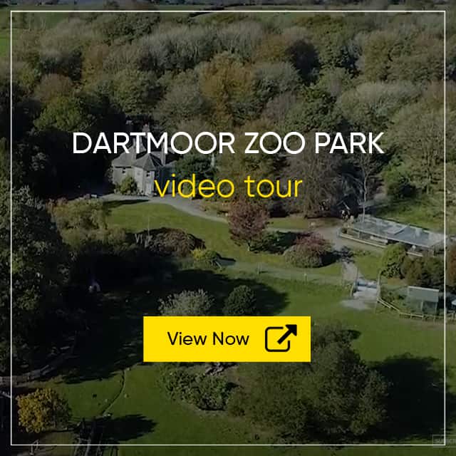 Dartmoor Zoological Park Video Tour - Tourist Attraction Video Tour