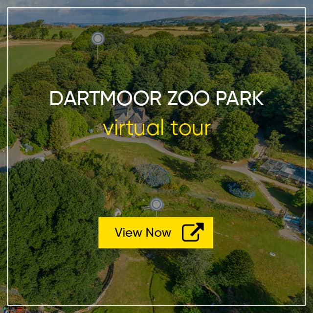 Dartmoor Zoological Park Virtual Tour - Tourist Attraction Virtual Tour