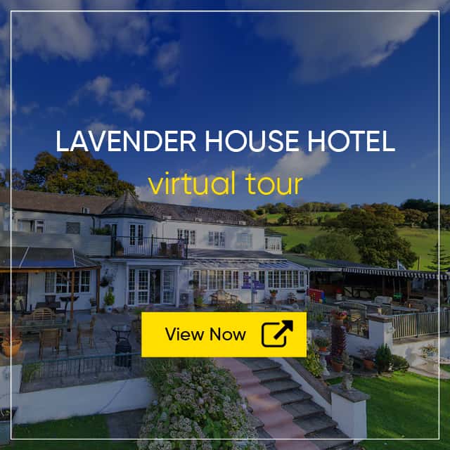 Lavender House Hotel - Hotel Virtual Tour