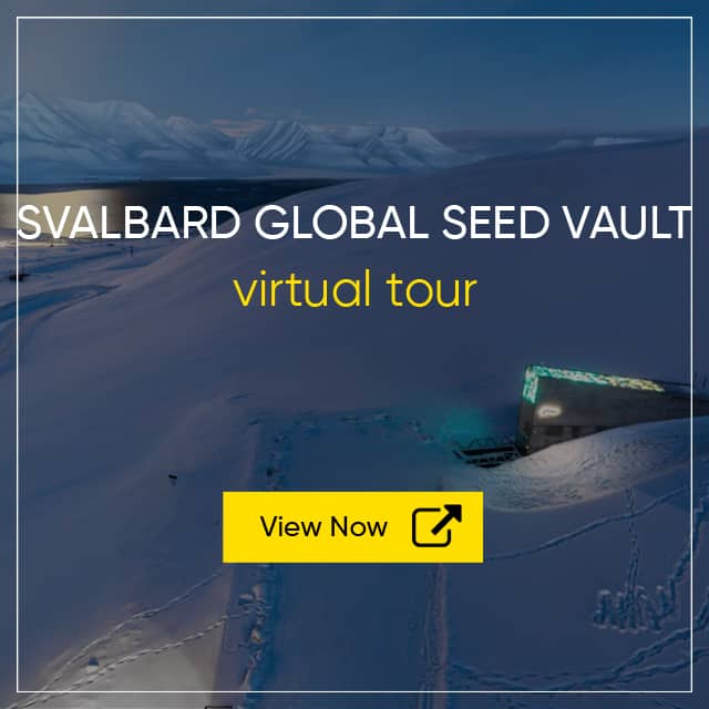 Svalbard Global Seed Vault Virtual Tour - World Seed Bank Tour - Svalbard Tour
