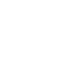 More Information icon